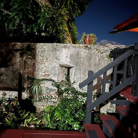شقة Mid-Century: Caribbean Style Contant  المظهر الخارجي الصورة