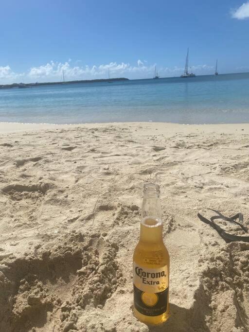 شقة Mid-Century: Caribbean Style Contant  المظهر الخارجي الصورة