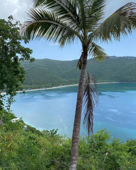 شقة Mid-Century: Caribbean Style Contant  المظهر الخارجي الصورة